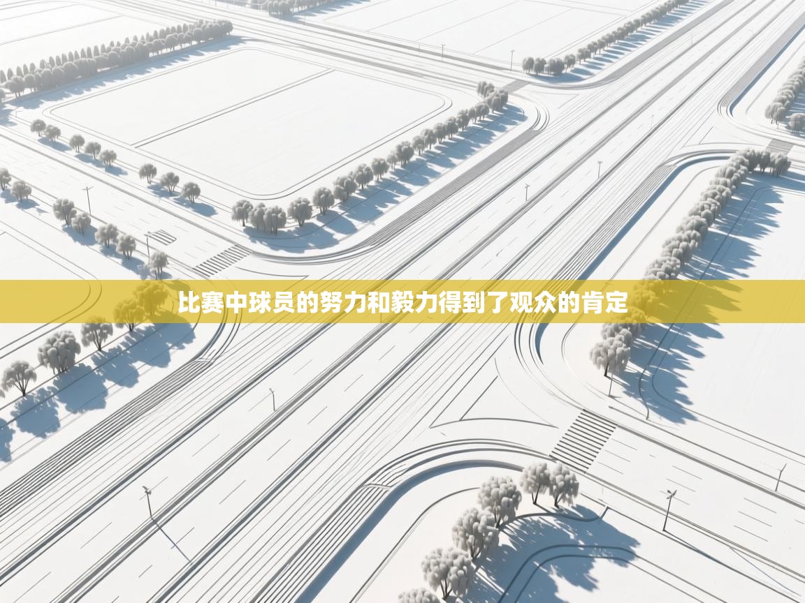 比赛中球员的努力和毅力得到了观众的肯定  第2张