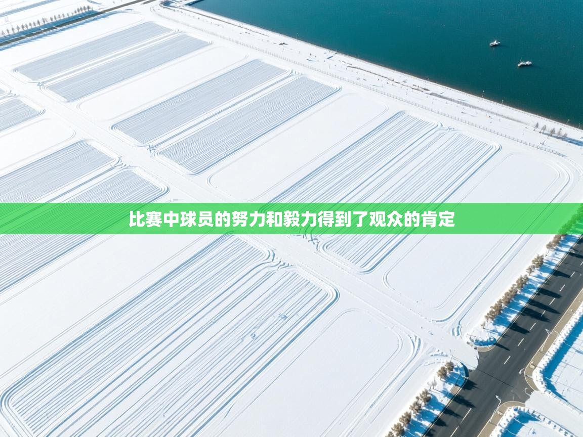 比赛中球员的努力和毅力得到了观众的肯定  第1张