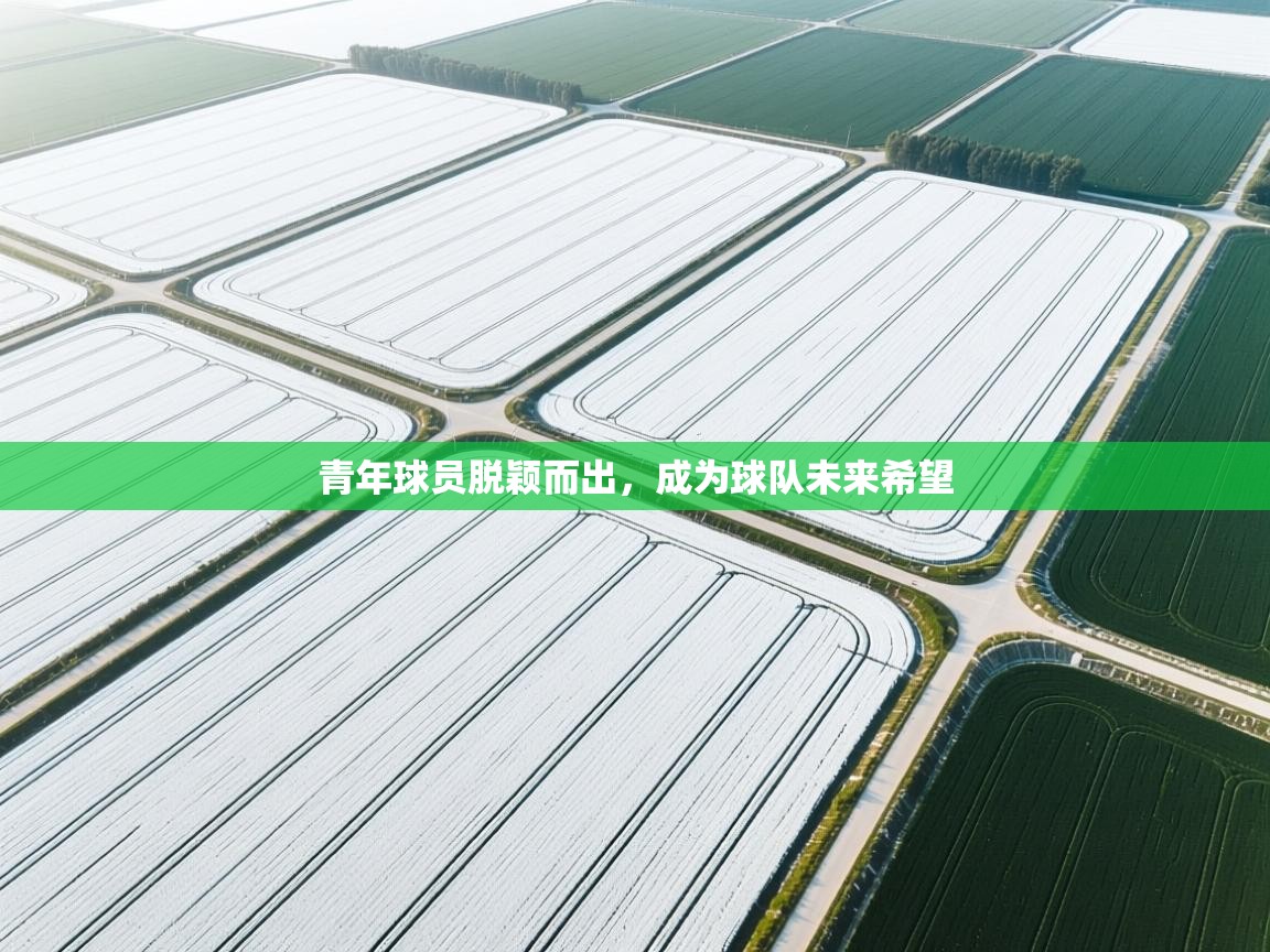 青年球员脱颖而出，成为球队未来希望  第2张