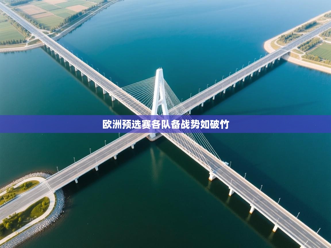 欧洲预选赛各队备战势如破竹  第2张