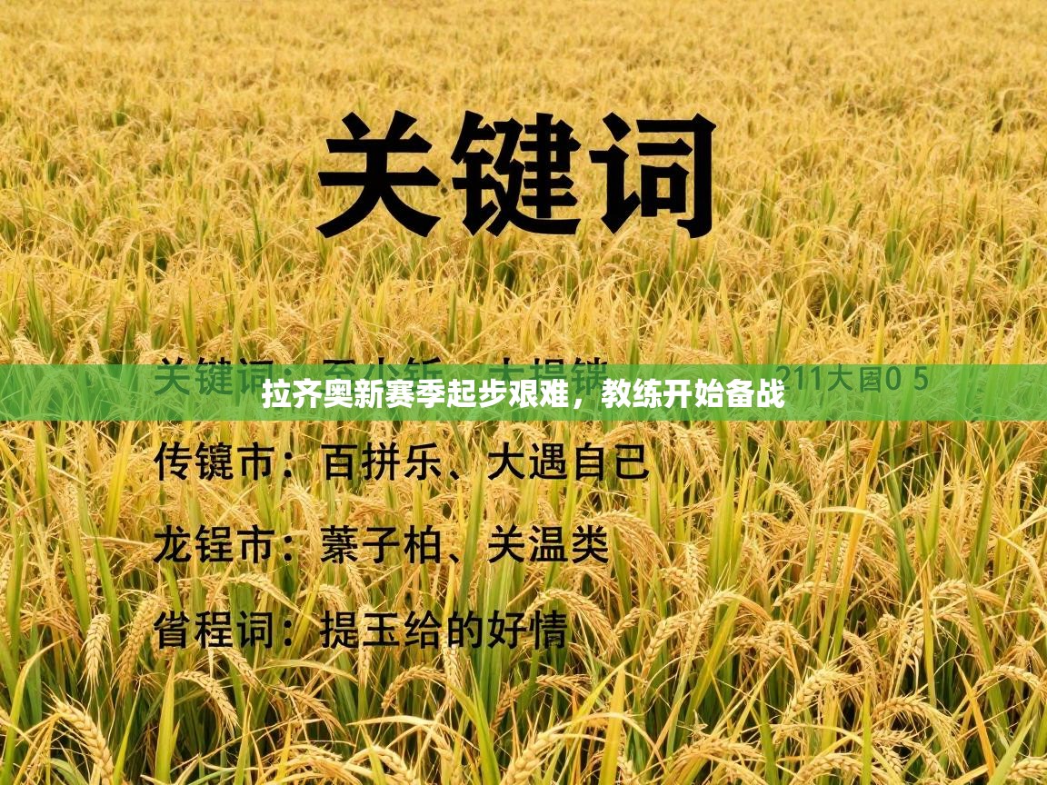 拉齐奥新赛季起步艰难，教练开始备战  第1张