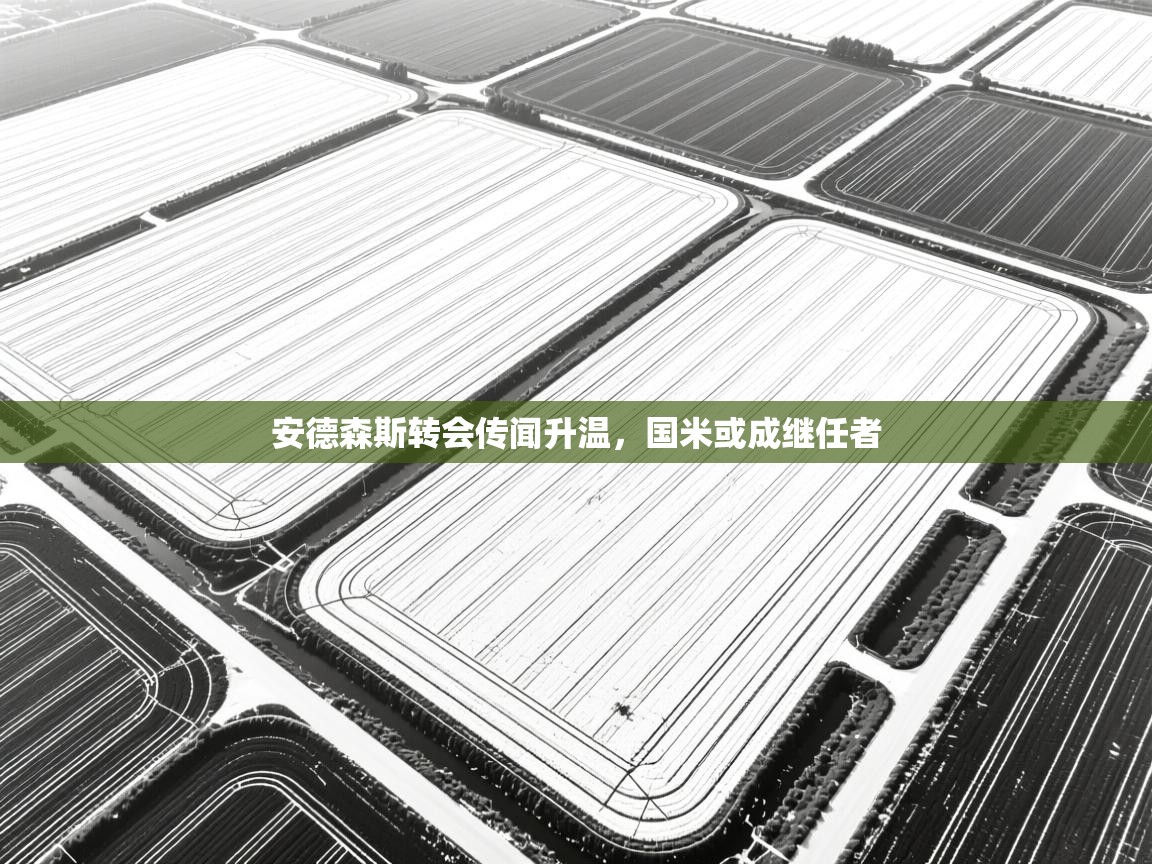 安德森斯转会传闻升温，国米或成继任者  第1张