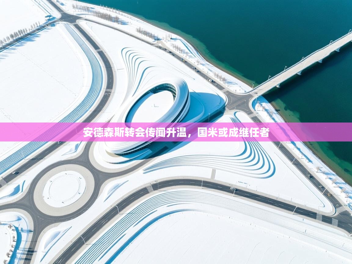安德森斯转会传闻升温，国米或成继任者  第2张