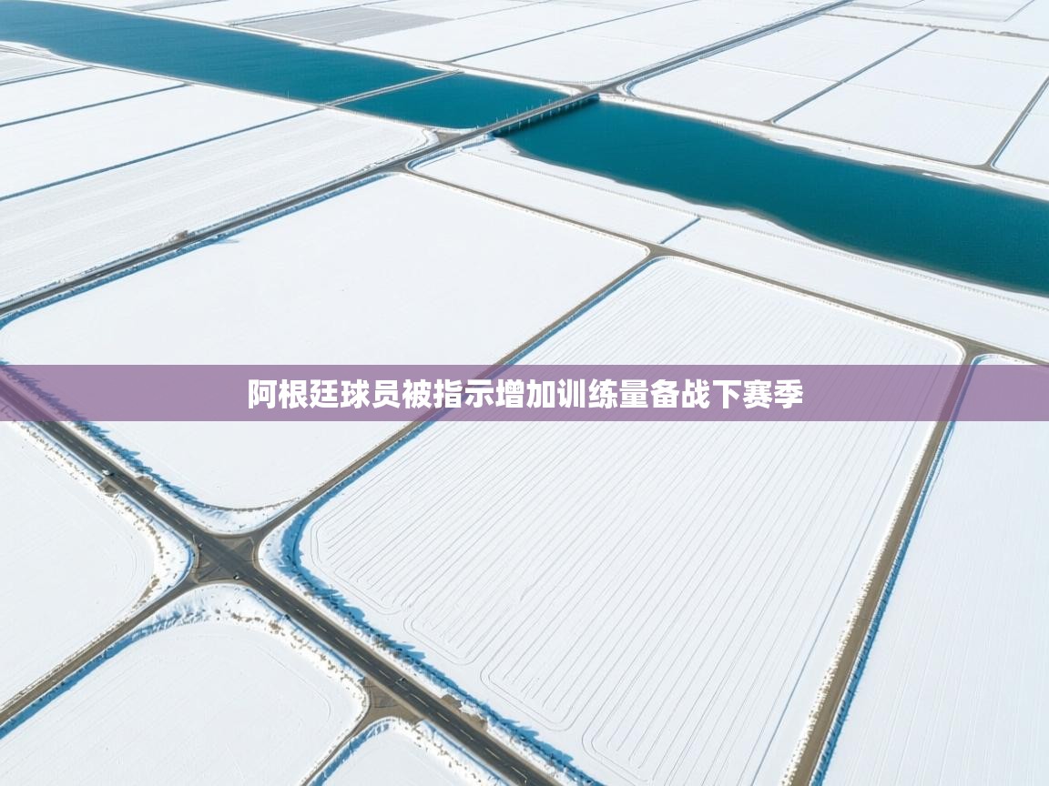 阿根廷球员被指示增加训练量备战下赛季 第1张