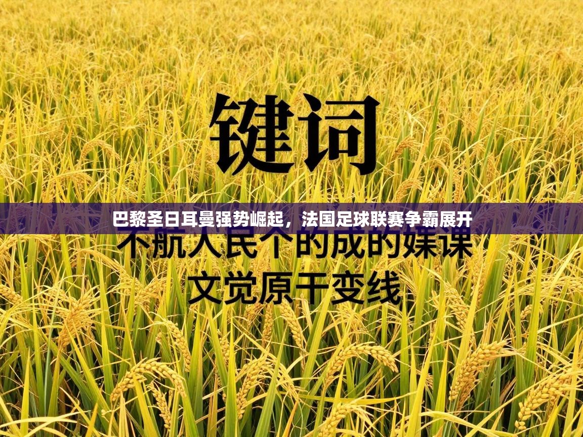 巴黎圣日耳曼强势崛起，法国足球联赛争霸展开  第2张